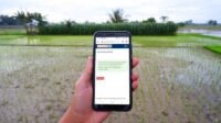 Berikut Cara Mendaftar Penerima Bantuan BPUM Dari Pemerintah Untuk Masyarakt BRI Memberi Kemudahan dengan EForm BRI