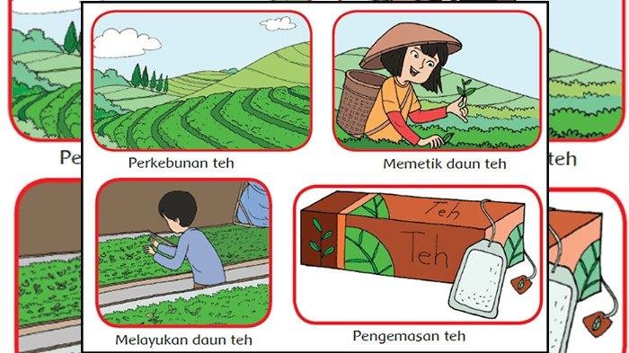 KUNCI JAWABAN Kelas 4 Tema 4 Halaman 7 8 9 10 11 Buku Tematik Siswa SD