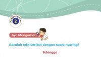 KUNCI JAWABAN Kelas 3 Tema 4 Kewajiban dan Hakku Halaman 104 105 106 107 108 109 Buku Tematik Siswa SD Subtema 3 Pembelajaran 2 Kewajiban dan Hakku dalam Bertetangga
