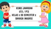 KUNCI JAWABAN SOAL UTS PTS Kelas 3 SD Bahasa Inggris Semester 2 dan Pilihan Ganda dan Esay