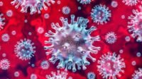 Mutasi Virus Corona Baru B117 Lebih Sadis dari Covid-19 Mulai Masuk ke Indonesia