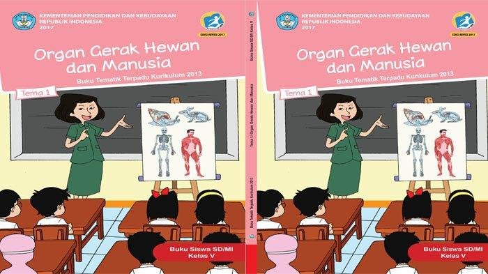 KUNCI JAWABAN Kelas 5 SD Tema 1 Halaman 31 32 33 34 35 36 37 38 39 dan 40 Buku Tematik Siswa Subtema 1 Organ Gerak Hewan dan Manusia