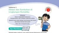 KUNCI JAWABAN Kelas 4 SD Tema 3 Halaman 6 5 4 3 2 1 Buku Tematik Siswa SD Subtema 1 Peduli Terhadap Makhluk Hidup