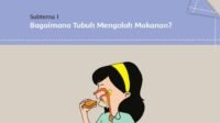 KUNCI JAWABAN Kelas 5 SD Tema 3 Halaman 2 3 4 5 6 7 8 9 10 11 Buku Tematik Siswa Subtema 1 Pembelajaran 1 Makanan Sehat