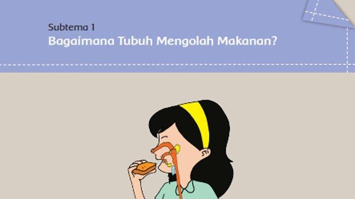 KUNCI JAWABAN Kelas 5 SD Tema 3 Halaman 2 3 4 5 6 7 8 9 10 11 Buku Tematik Siswa Subtema 1 Pembelajaran 1 Makanan Sehat