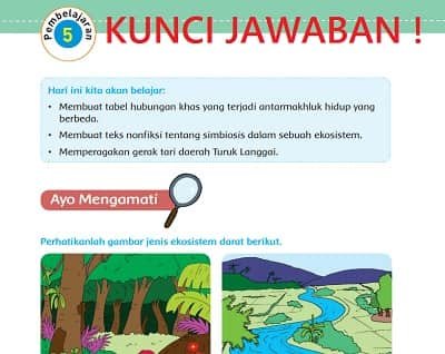 Sebutkan Manfaat Menari Bagi Kesehatan