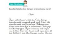 Berapa Jumlah Kaki Ayam? Kunci Jawaban Kelas 2 SD Tema 6 Halaman 44 47 48 49 Pembelajaran 5 Subtema 1 Hewan di Sekitarku