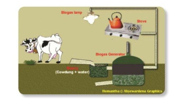 KUNCI JAWABAN SOAL Kelas 3 SD Tema 6 Halaman 144 145 146 147 Buku Tematik Siswa Biogas sebagai Energi Alternatif