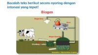 KUNCI JAWABAN SOAL Kelas 3 SD Tema 6 Halaman 144 145 146 147 148 149 Buku Tematik Siswa Pembelajaran 6 Mengenai Biogas Energi Alternatif