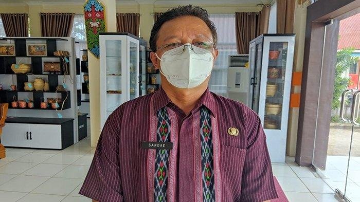 Serangan Virus African Swine Fever Tewaskan 5000 Ekor Babi Mati di Sekadau