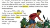 KURIKULUM MERDEKA! Kunci Jawaban Soal Kelas 4 SD MI Bahasa Indonesia Halaman 30 31 Tanaman Kak Tiur Bernama