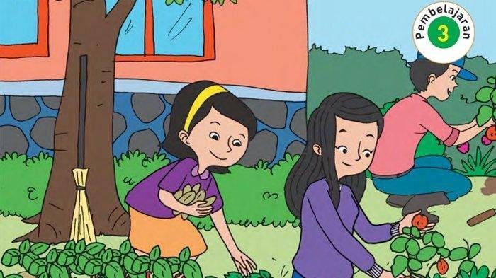 KUNCI JAWABAN Tema 7 Kelas 2 SD Halaman 210 211 212 213 Buku Tematik Membuat Kreasi Maket Kebun Binatang