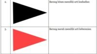 Beri-Penjelasan-Arti-dari-Gambar-dan-Warna-yang-Kalian-Pilih