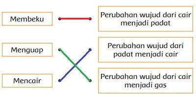 Kunci Jawaban Tema 3 Kelas 3 SD di Halaman 145