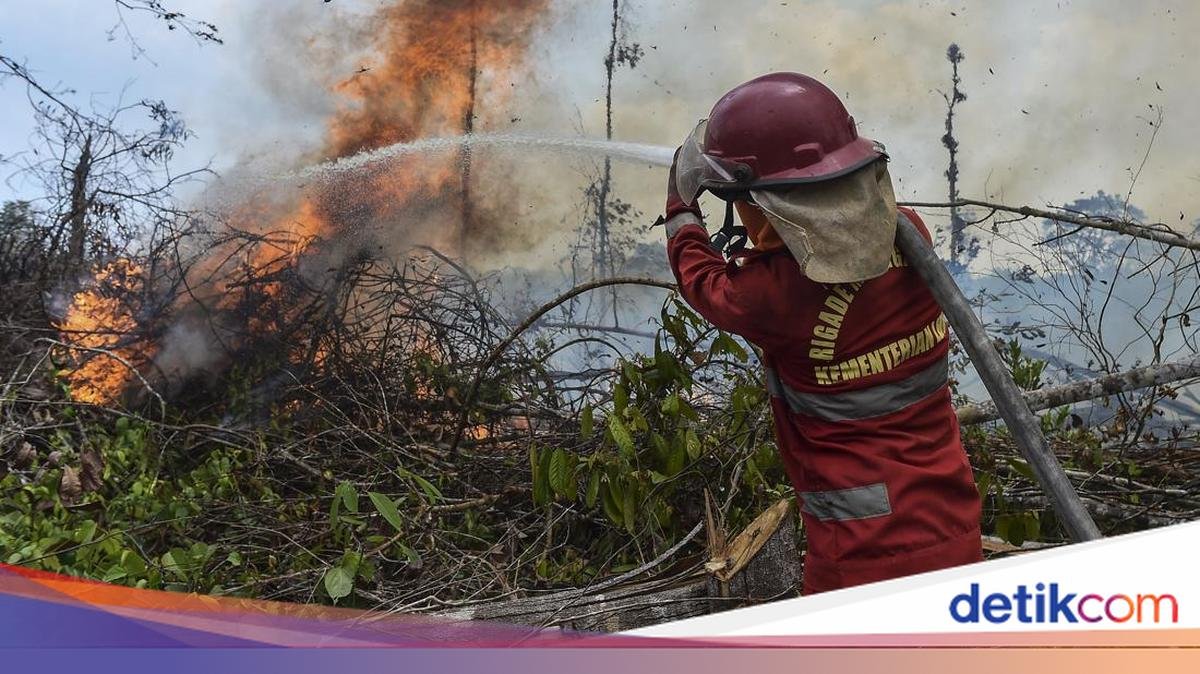4-hektare-lahan-di-batang-hari-terbakar-petugas-berjibaku-padamkan-api-1787308334720_169.jpeg