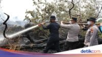 500-personel-gabungan-turun-memadamkan-api-di-kerumutan-pelalawan-1787568723345_169.jpeg