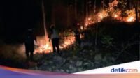 kebakaran-hutan-di-slahung-ponorogo-1787841465377_169.jpeg