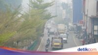 kondisi-kabut-asap-karhutla-di-kota-pontianak-ocsya-ade-cp-1787935720992_169.jpeg