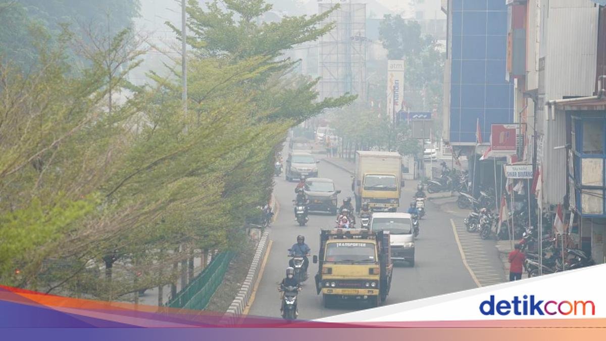kondisi-kabut-asap-karhutla-di-kota-pontianak-ocsya-ade-cp-1787935720992_169.jpeg