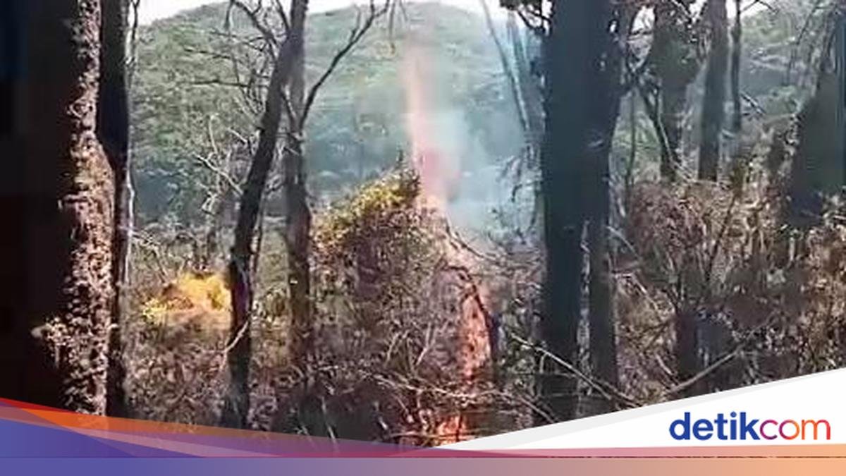 kondisi-terkini-kebakaran-gunung-gede-pangrango-1786446690406_169.jpeg
