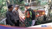 pedagang-1788088493750_169.jpeg