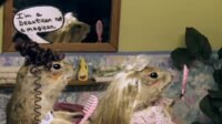 the-world-famous-gopher-hole-museum-landscape-1.jpg